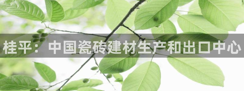 杏鑫官网注册账号密码忘了