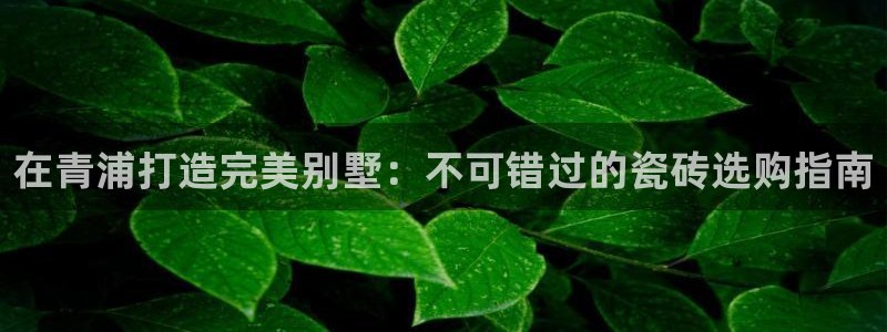 杏鑫官网注册账号密码是什么