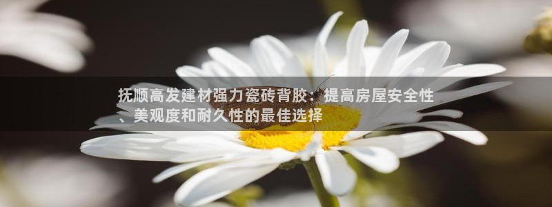 杏鑫娱乐怎么样